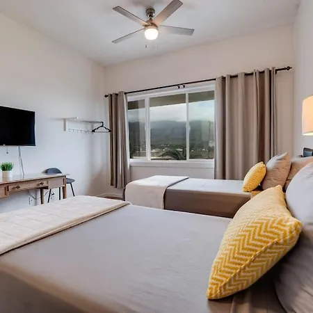 Unit 9 Maui Ohana Modern Studio Wailuku Exterior photo